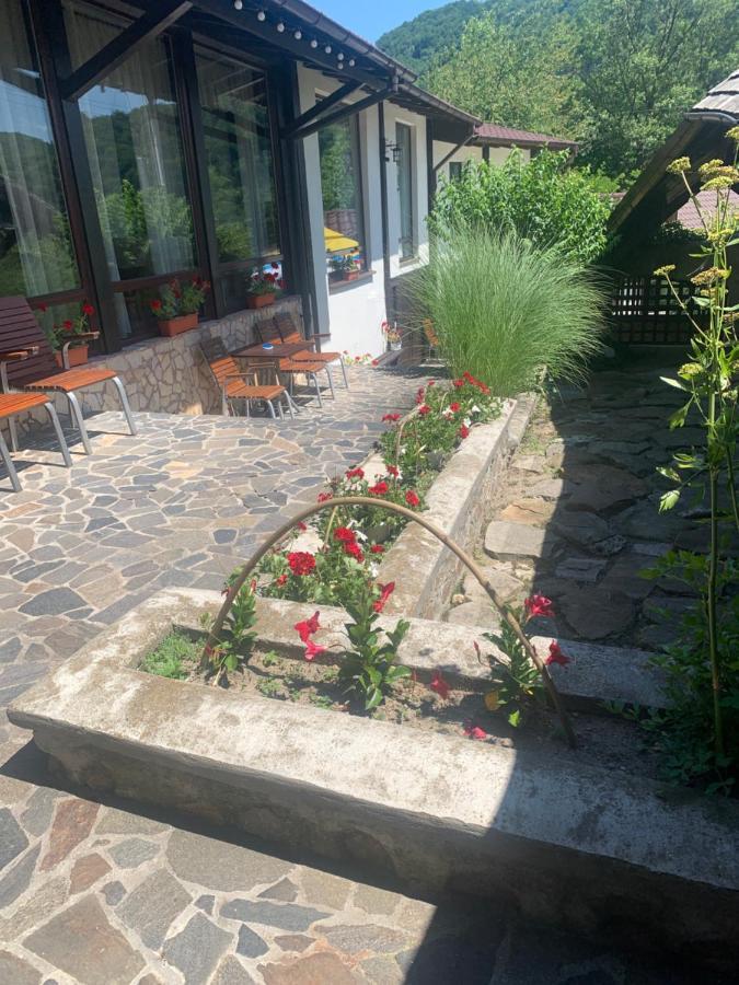No Comment Rustic Curtea de Argeş Eksteriør billede